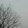 DSC_0472_CMP_WM