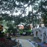 DSC00077_CMP_WM