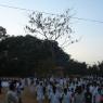 DSC00033_CMP_WM