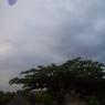 100_2639_CMP_WM