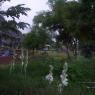 100_2653_CMP_WM