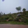 100_2667_CMP_WM