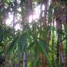 100_2700_CMP_WM