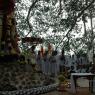 Jayanthi_2005_ashram (253)_CMP_WM