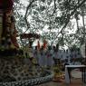 Jayanthi_2005_ashram (254)_CMP_WM