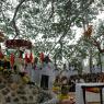 Jayanthi_2005_ashram (267)_CMP_WM_ARTI1_CMP_WM