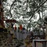 Jayanthi_2005_ashram (295)_CMP_WM