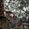 Jayanthi_2005_ashram (296)_CMP_WM