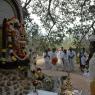 Jayanthi_2005_ashram (328)_CMP_WM