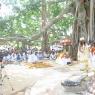 20050308_Photo_1026_ShivRathri_2005_ashram (246)_CMP_WM