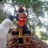 pradosha-pics-selected