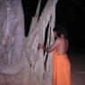 IMG_6224_CMP_WM