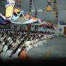 DSC_2233_CMP_WM