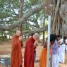 5-BUDDHIST-MONKS-VISIT-HDH-AT-BIDADI-ADHEENAM_Photo_1042_DSC_2591_CMP