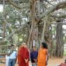 5-BUDDHIST-MONKS-VISIT-HDH-AT-BIDADI-ADHEENAM_Photo_1043_DSC_2595_CMP_WM