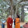 5-BUDDHIST-MONKS-VISIT-HDH-AT-BIDADI-ADHEENAM_Photo_1044_DSC_2596_CMP_WM
