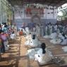 9-GAYATRI-INITIATION-CHILDRENS-DAY-JAYANTI-BRAHMOTSAVAM-CELEBRATIONS_Photo_1016_DSC_2933_CMP_WM