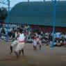 DSC_6976_CMP_WM