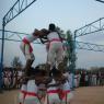 DSC_7001_CMP_WM