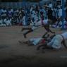 DSC_7031_CMP_WM