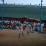 DSC_7039_CMP_WM