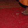 DSC_5377_CMP_WM