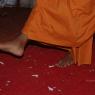 DSC_5379_CMP_WM