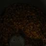 DSC_4387_CMP_WM