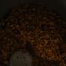 DSC_4389_CMP_WM