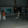 DSC_1340_CMP_WM