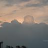 DSC_1387_CMP_WM