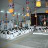 DSC_4220_CMP_WM