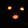 DSC_4978_CMP_WM