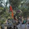 02-BRAHMOTSAVAM-DAY-4_Photo_1063_DSC_2827_CMP_WM