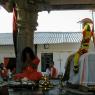 IMG_1135_CMP_WM