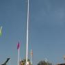 DSC_2931_CMP_WM