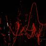 DSC_5102_CMP_WM