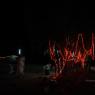 DSC_5104_CMP_WM
