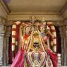 DSC03184_CMP_WM