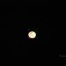 DSC_4100_CMP_WM
