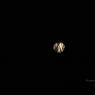 DSC_4102_CMP_WM
