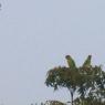 100_1035_CMP_WM
