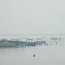 DSC_5657_CMP_WM