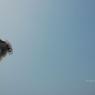 DSC_5939_CMP_WM