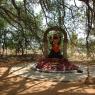 3-LORD-DAKSHINAMURTHY-UNDER-THE-KALPATRU-BANYAN-TREE