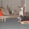2007-November-7-to-9-Kailasa-in-LosAngeles-Making-of-Temple-_Photo_1021_LANewAshramPrepNov2007 152_CMP_WM
