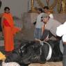 2007-November-7-to-9-Kailasa-in-LosAngeles-Making-of-Temple-_Photo_1102_LANewAshramPrepNov2007 649_CMP_WM