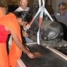 2007-November-7-to-9-Kailasa-in-LosAngeles-Making-of-Temple-_Photo_1126_LANewAshramPrepNov2007 749_CMP_WM