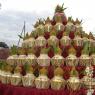 20070903_Photo_269_13k0ZtHB4i8qVVXoQ_czke3_y0_bTgvJn