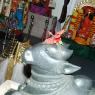 15July2008_Pradosham_17_CMP_WM